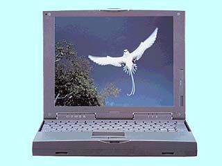 WinBook Bird/V 166MT S4P166MT S4P166MT