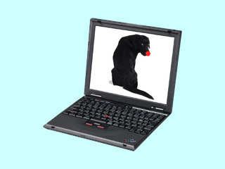 ThinkPad i 1620 2661-23J 2661-23J