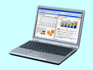 VAIO type S VGN-S91PSY2 VGN-S91PSY2
