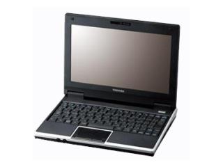 ネットブックPC NB100 PANB100NL PANB100NL